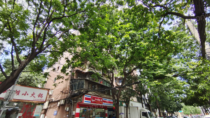 正府街28号外景图