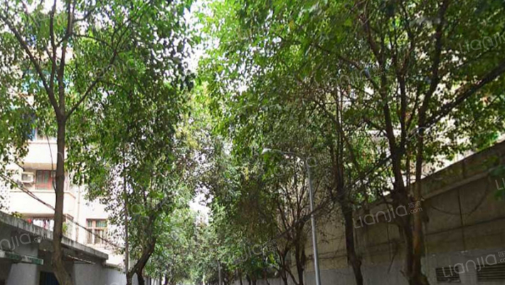 玉林横街19号外景图