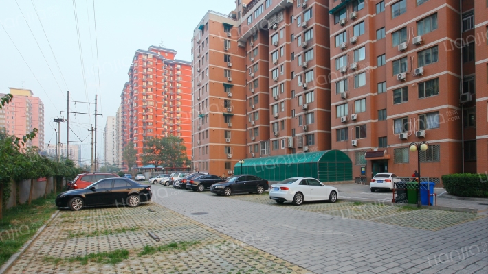 北洼西里53号外景图