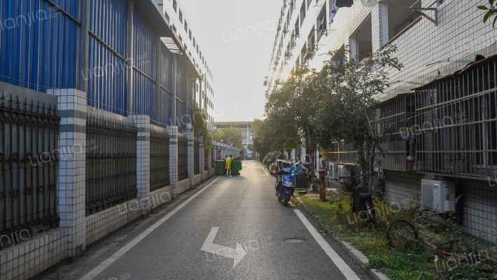 枫树庭院外景图