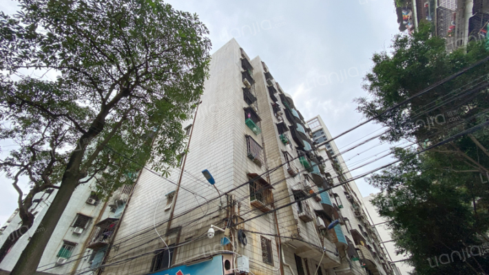 美延街20号外景图