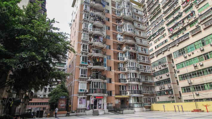 书香世家外景图