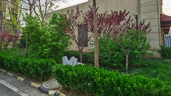 旭辉朗悦湾外景图