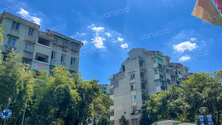 北景园竹邻苑外景图