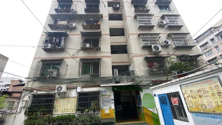 红建路北段526号综合楼外景图