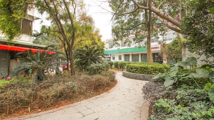 和平后街外景图