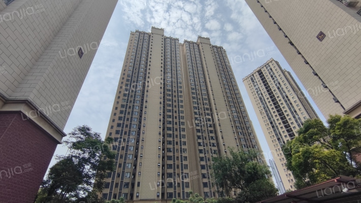 南湖锦城外景图