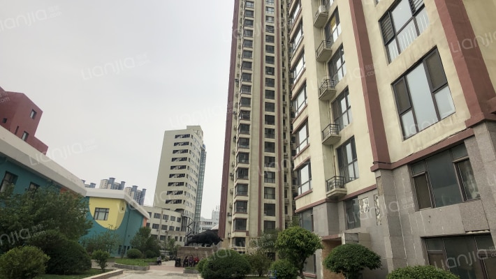 白领双星外景图