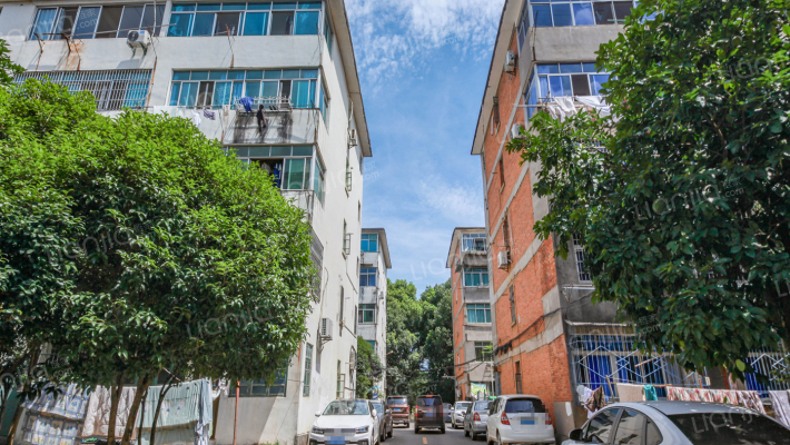 新建县兴国路702厂宿舍西一区外景图