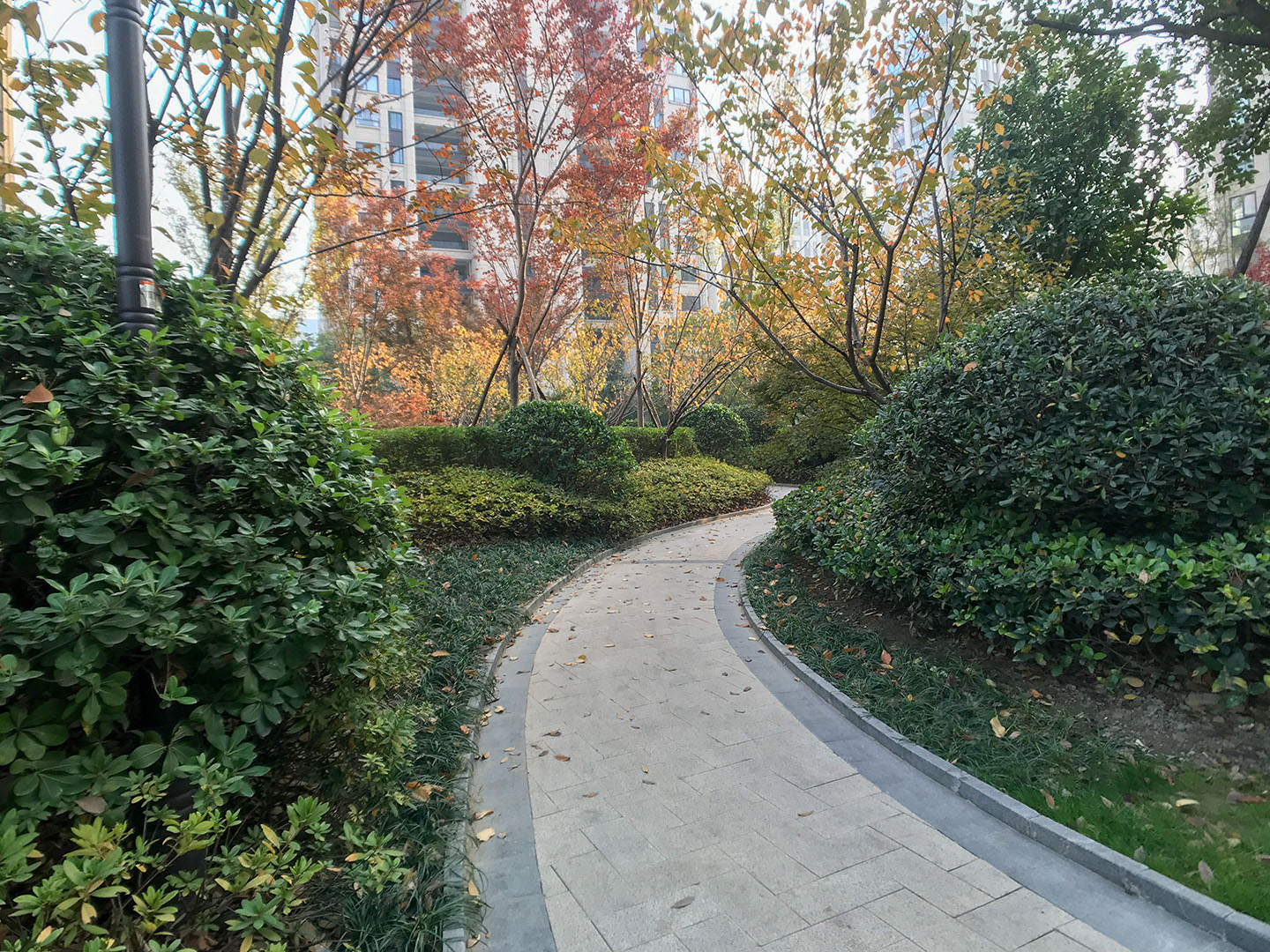 德信大家钱江府小区实景 29