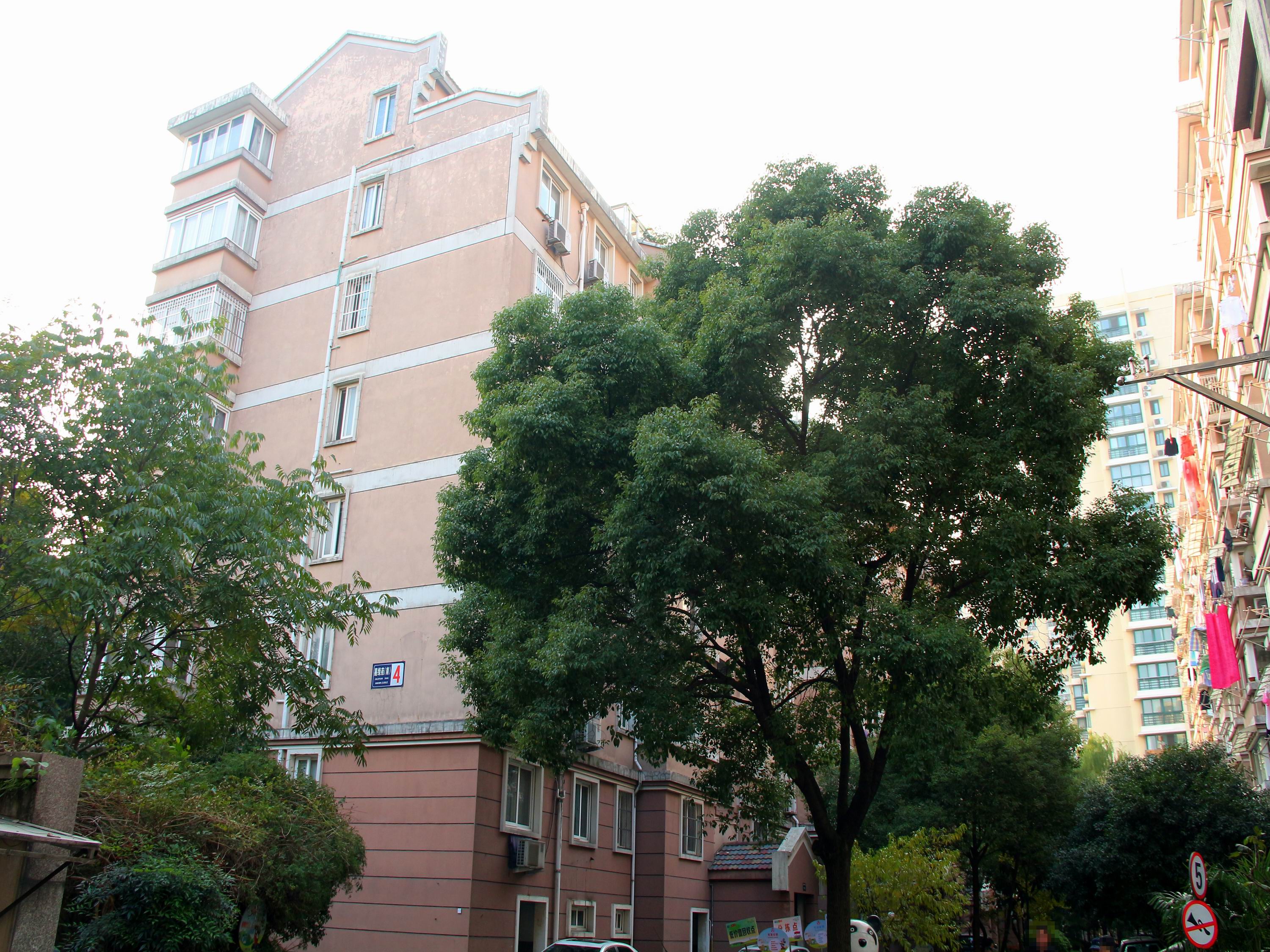 嘉绿苑南小区实景 6