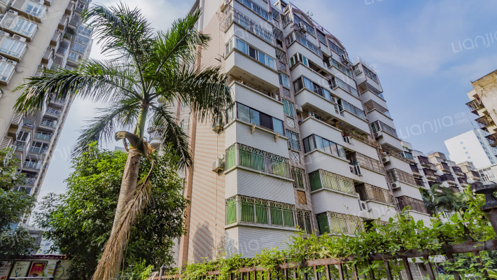 龙泉名府外景图