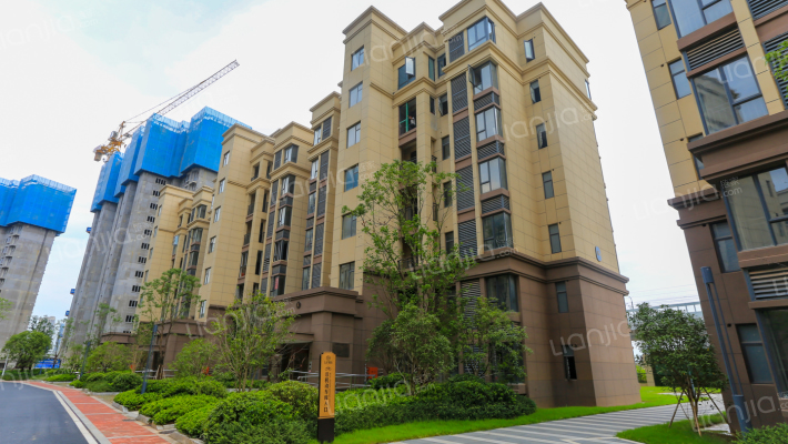 九龙阳光二期外景图