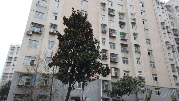 西善花苑万兴园外景图