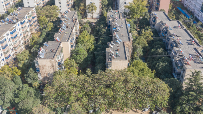 中原制药厂家属院外景图