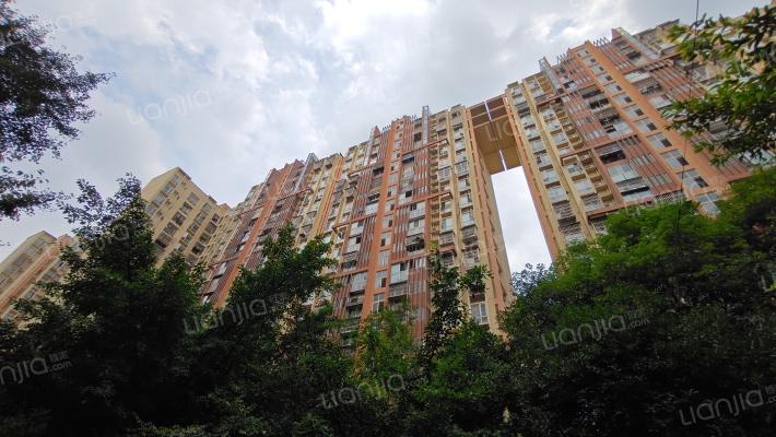 龙华二期C区外景图