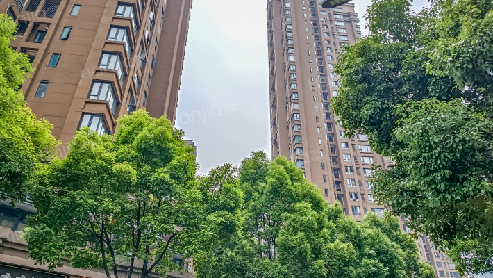 恒大绿岛新城D区外景图