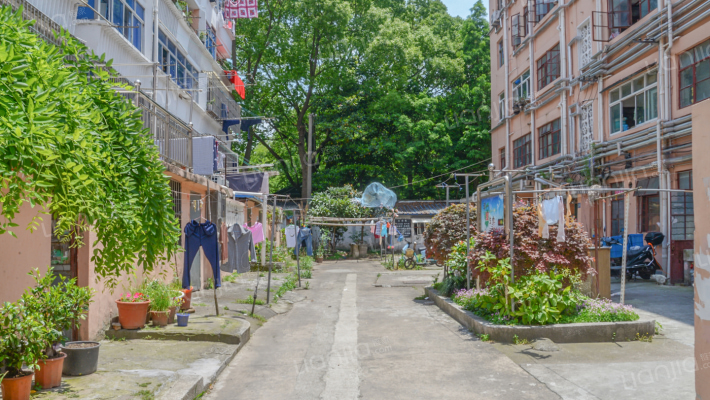 公园新村外景图