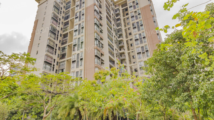 丹桂丽社外景图