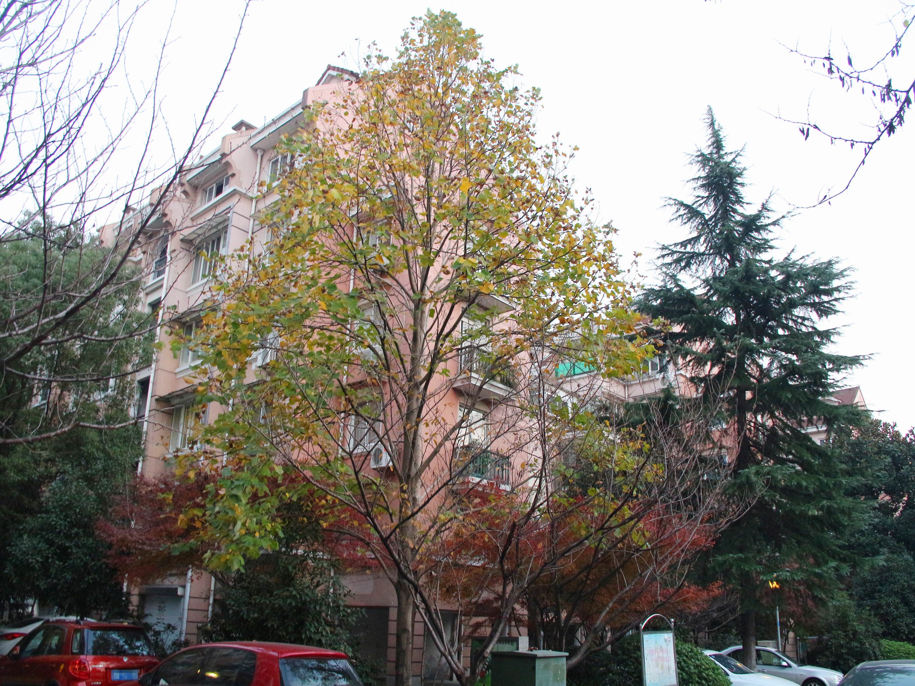 Jialv  Xiyuan compound photo 7