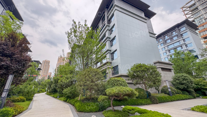 金泰观澜府外景图