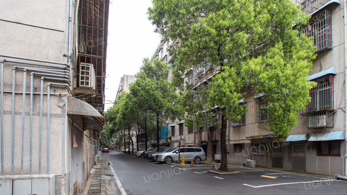 国税五分局桔园宿舍外景图