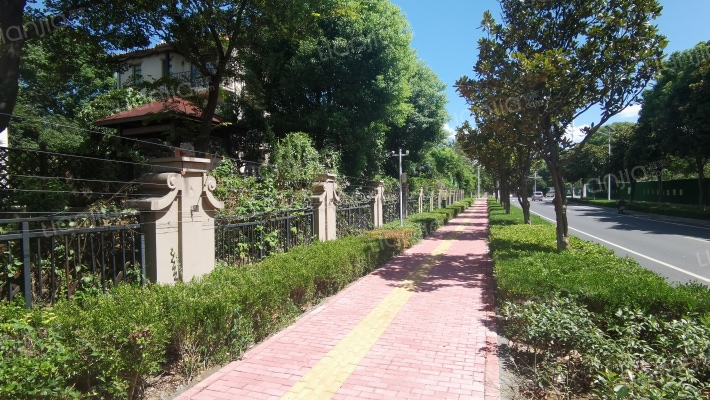 阿卡迪亚三区外景图