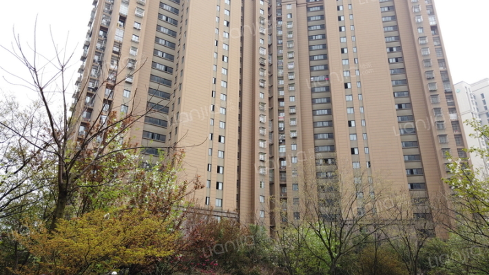 乐业东苑外景图