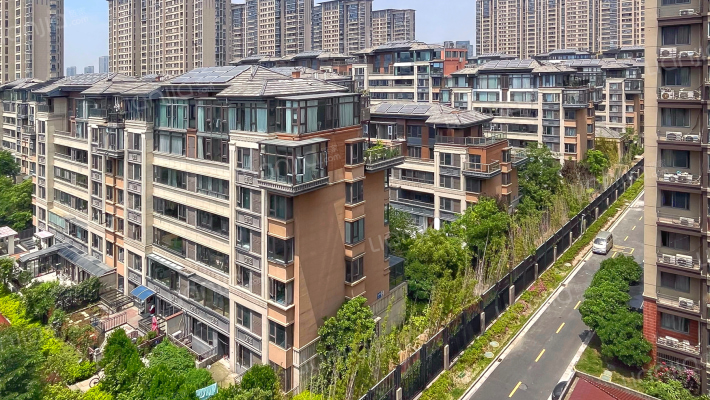 蓝光雍锦里外景图