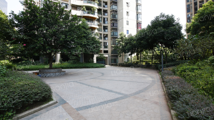 金荷花园外景图