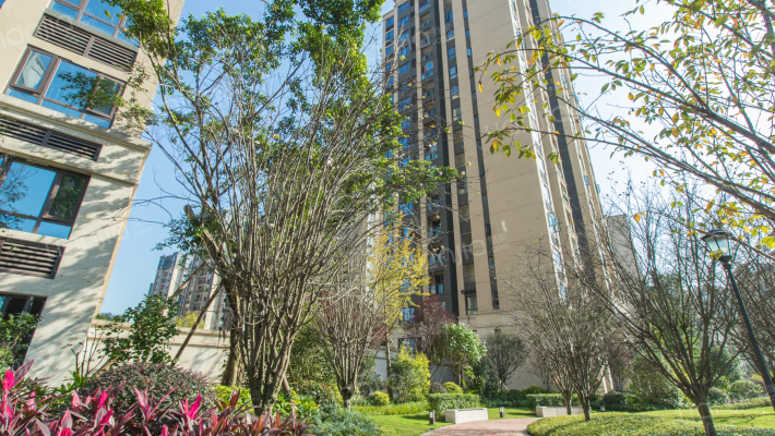 凤凰湾天悦外景图