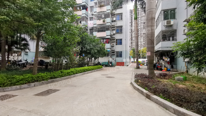 江滨锦城外景图