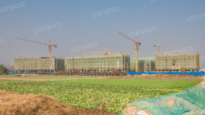 蓝城玫瑰园外景图