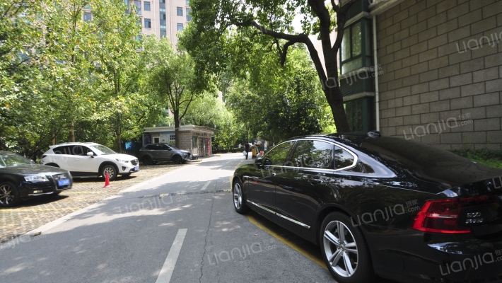 龙柏四季花园外景图