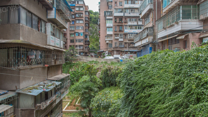 东山小区外景图