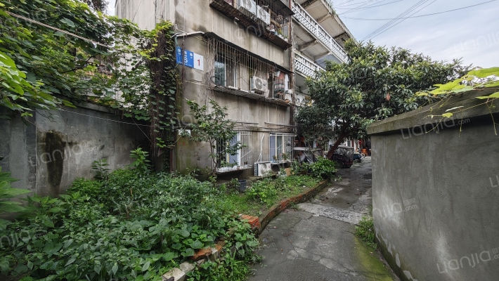 柳春路6号外景图