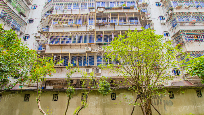 振兴西路128号外景图