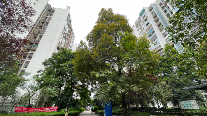 高碑瑞苑三期外景图