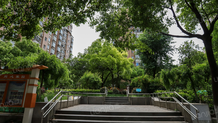 曹杨五月天外景图