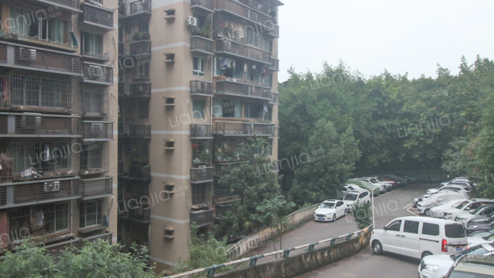 图强村442号外景图