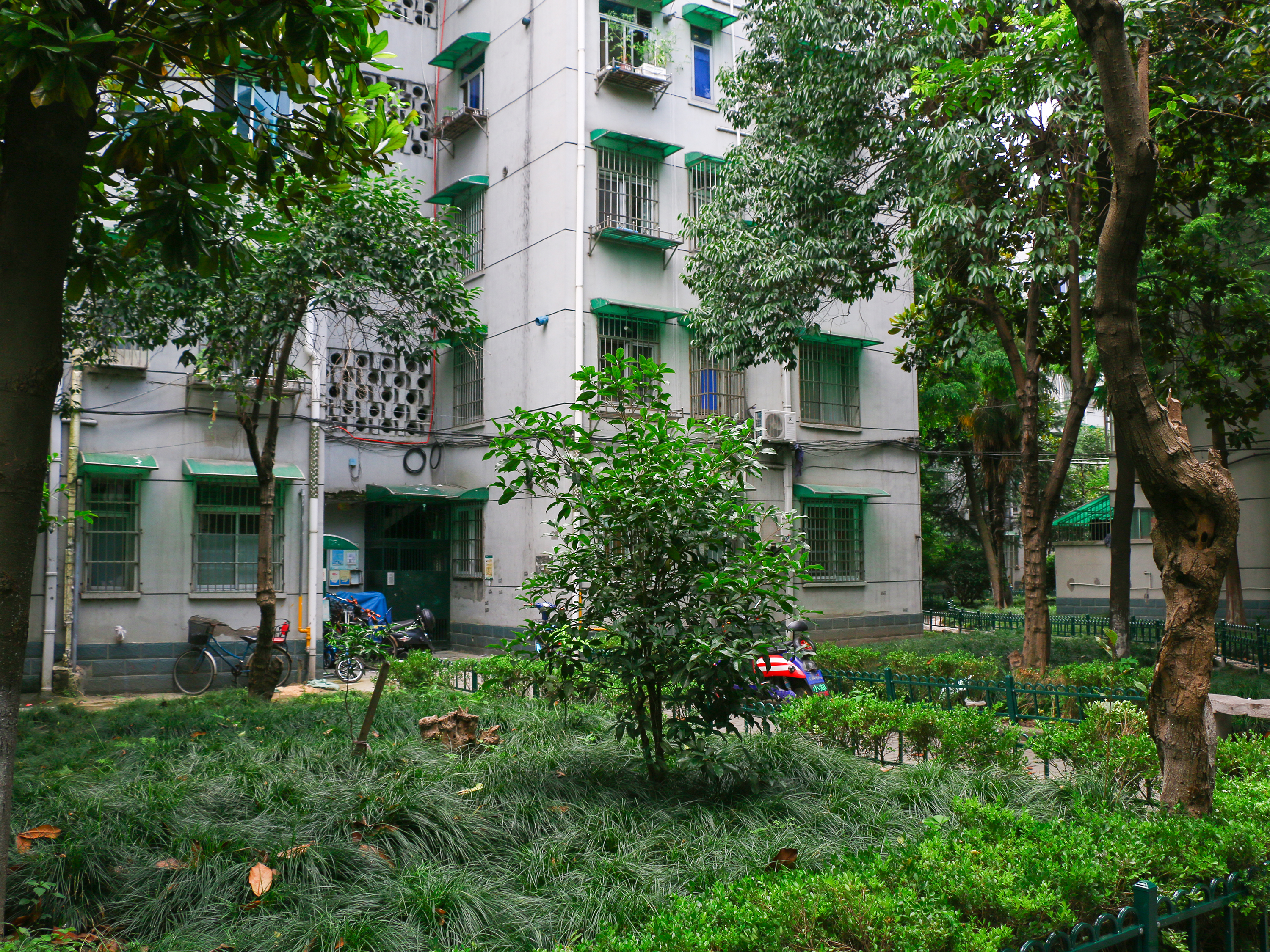 采荷一区小区实景 13
