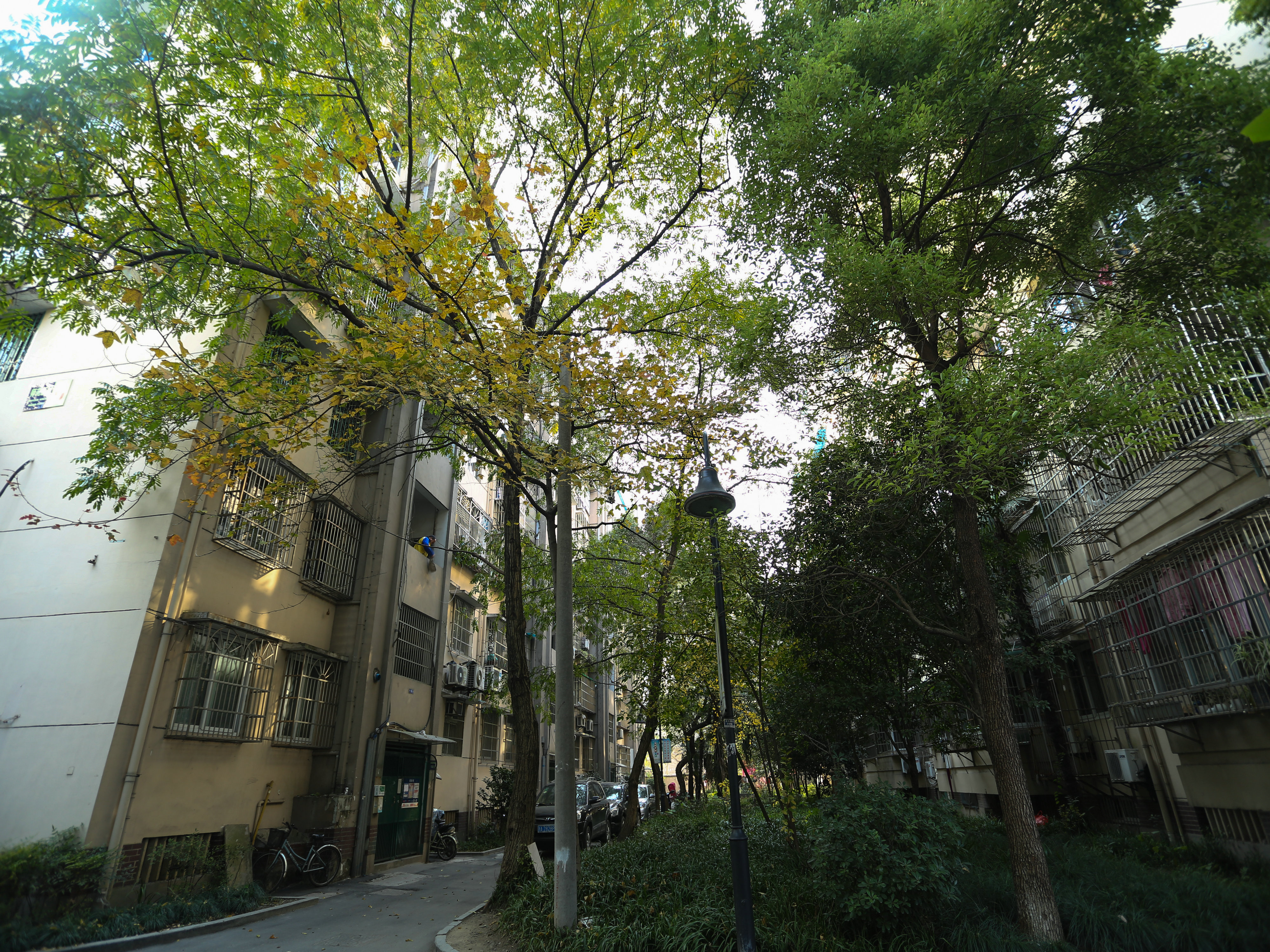 Shiyuan Xincun compound photo 4