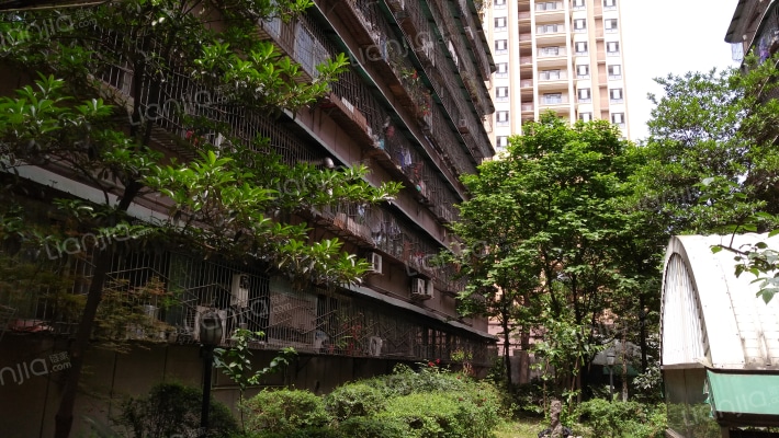 文庙西街39号外景图