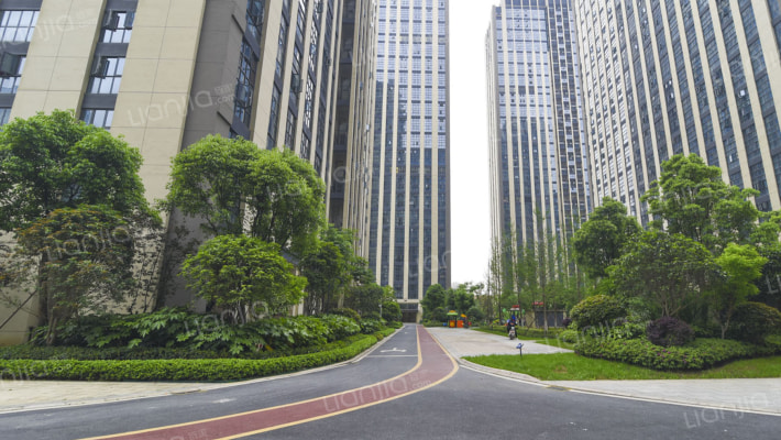 碧桂园蜜柚外景图