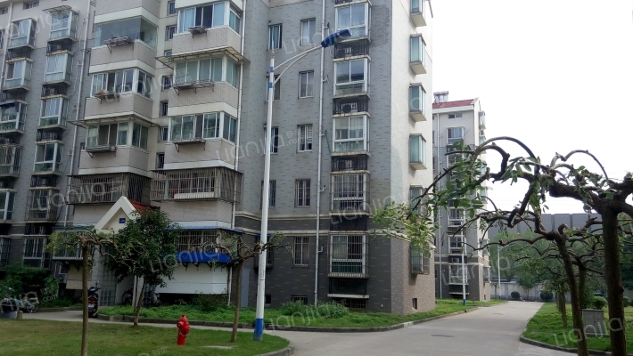 南理工竹园小区外景图