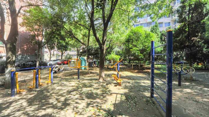 桃苑大街外景图