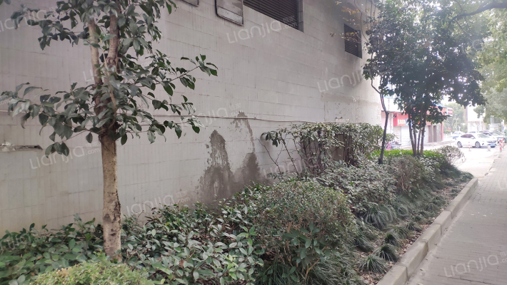 新闵路557号外景图