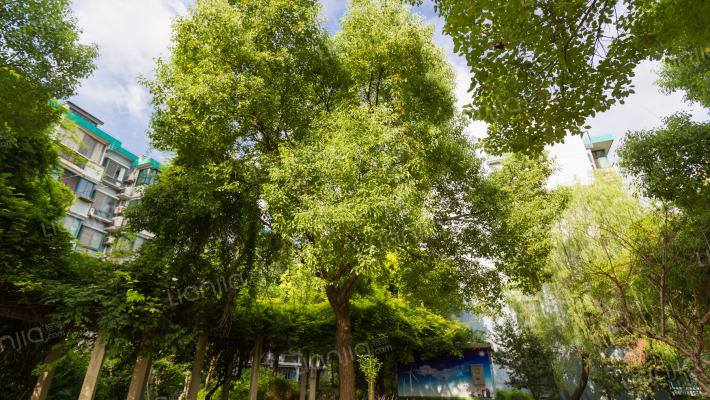 城浦公寓外景图