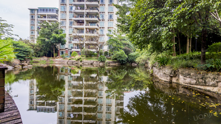 冠和金山龍庭外景图