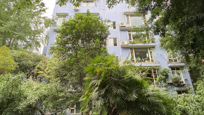 棠中路四段51号外景图